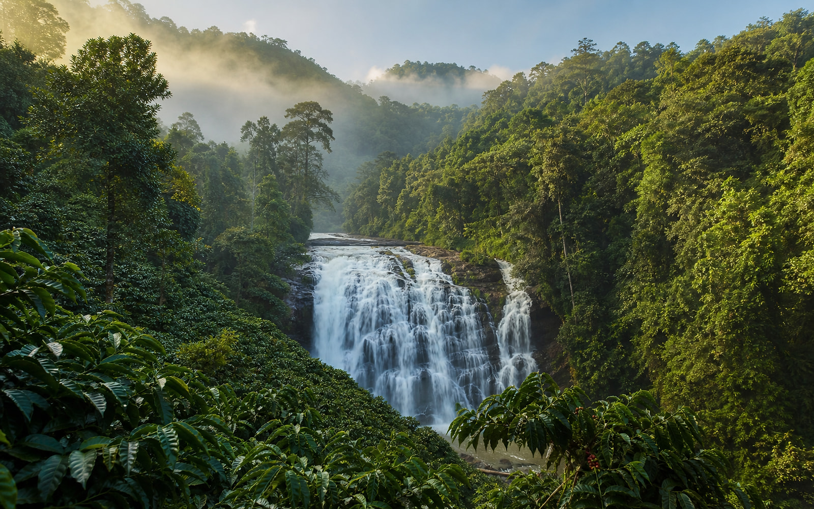 Coorg tour destination