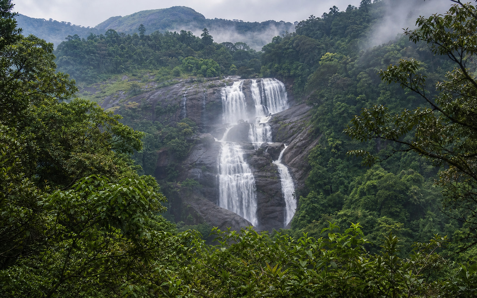 Wayanad tour destination